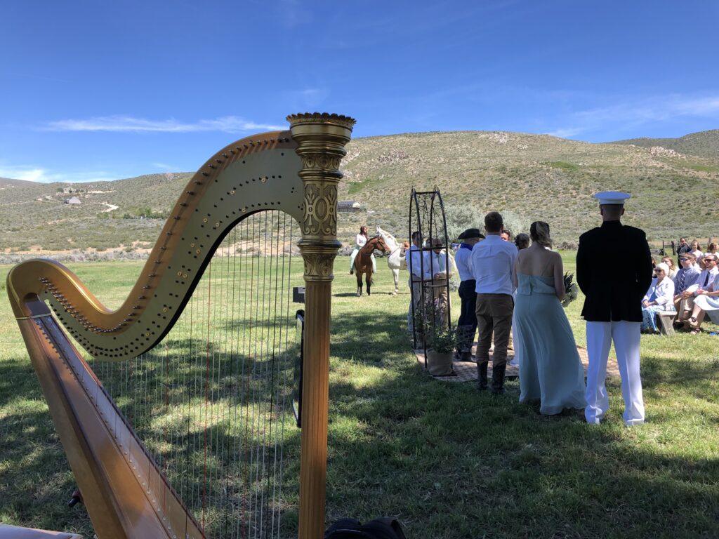 Captivating image of Mary Law, Reno Tahoe's premier harpist, enchanting guests with her mesmerizing melodies at a wedding ceremony.